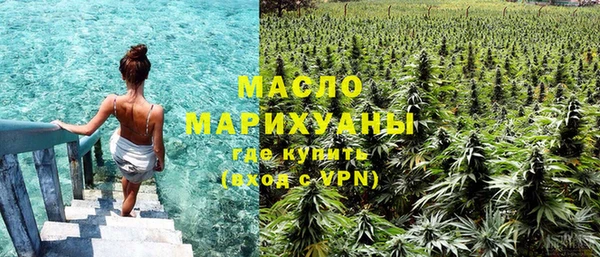 хмурый Арсеньев