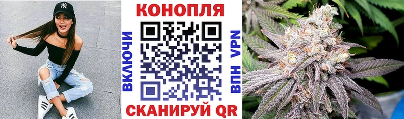 Каннабис семена  Купить закладки  Саки 